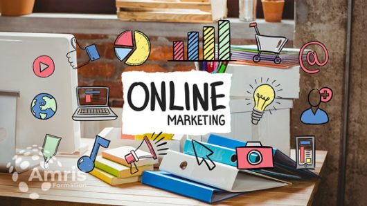 AMRIS Formation – Formation internet et webmarketing cours community management, formation e-commerce en ligne formation publicité en ligne, cours google ads formation email marketing, cours analytics web, formation webmarketing PACA, cours réseaux sociaux Marseille, formation publicité en ligne PACA